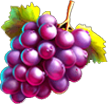 6 Jokers Slot Grapes Symbol
