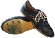 St Louis 1904 Shoes Symbol