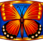 Congo Cash XL Butterfly Symbol