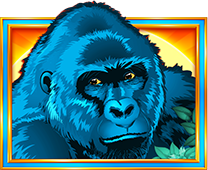 Congo Cash XL Gorilla Symbol