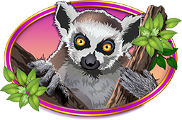 Congo Cash XL Lemur Symbol