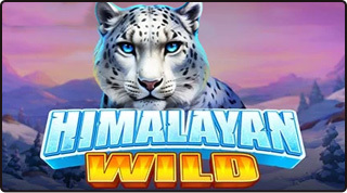 Himalayan Wild Diseño