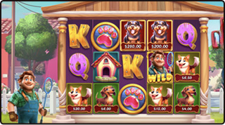 Dog Pound Slot Design