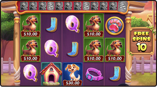 Dog Pound Slot Gameplay