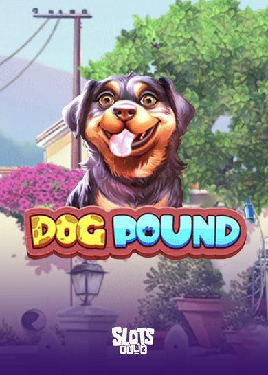 Dog Pound Slot Review